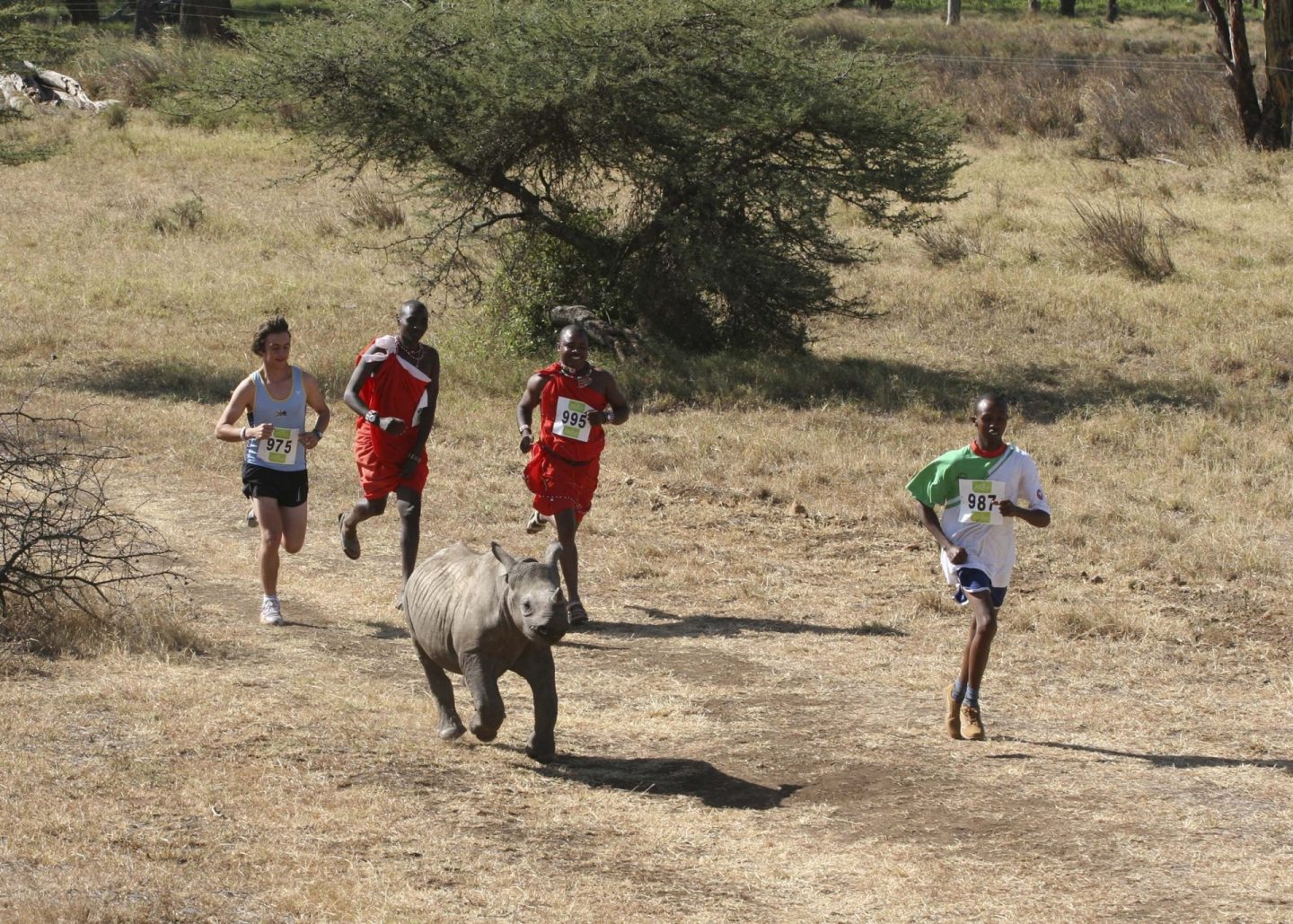 Safaricom Marathon Runners and Rhino