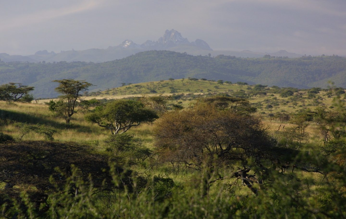 Mount Kenya Landscape
