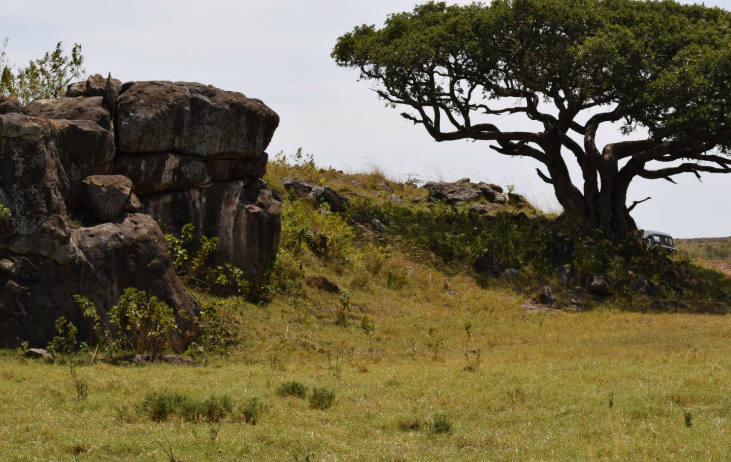Tusk Trust - Maasai Mara Wildlife Conservation Association