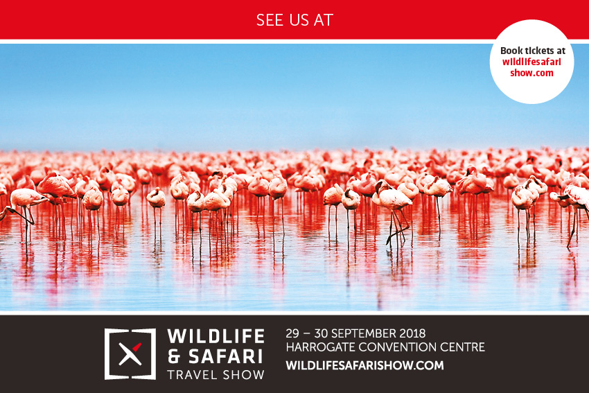 Wildlife & Safari Travel Show