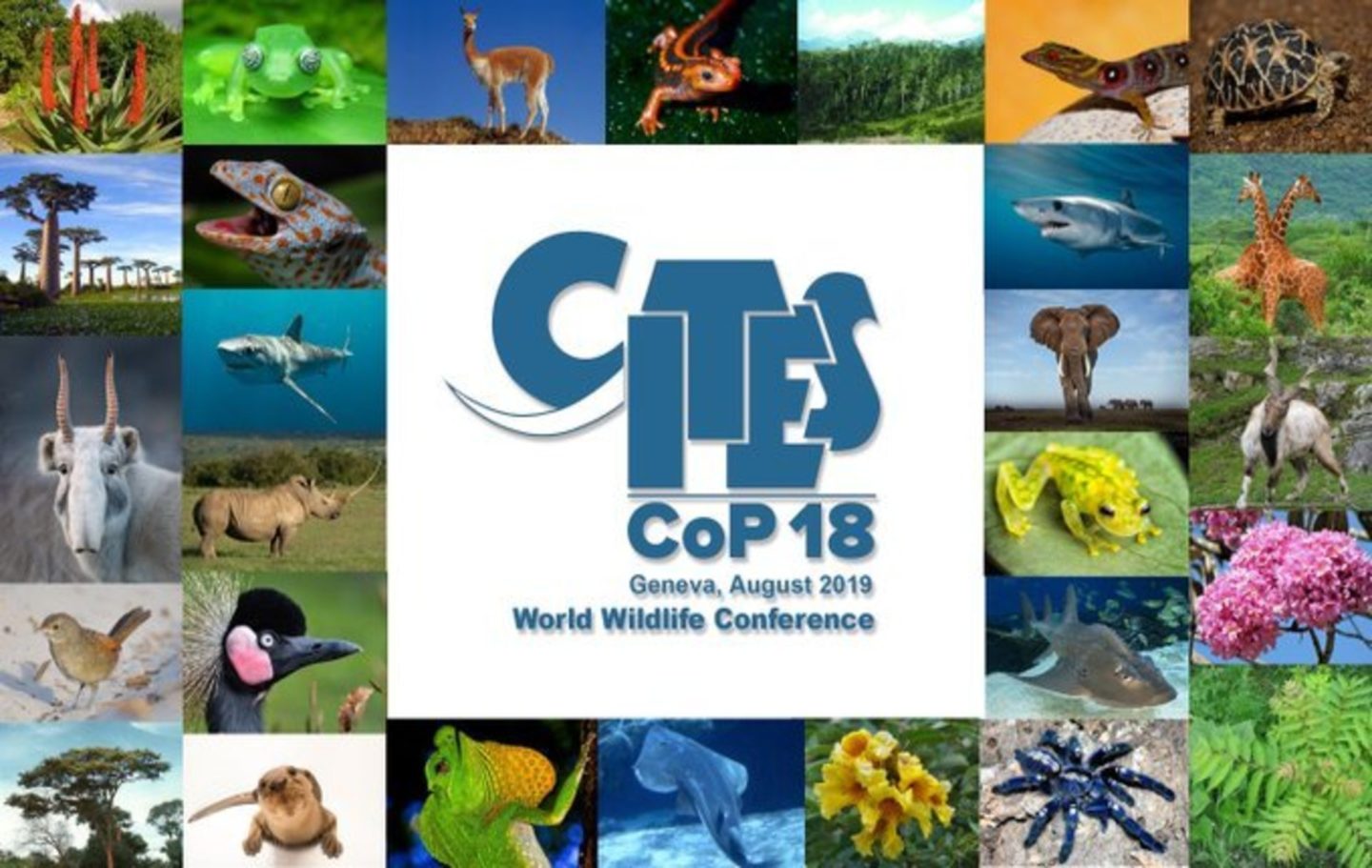 CITES COP18