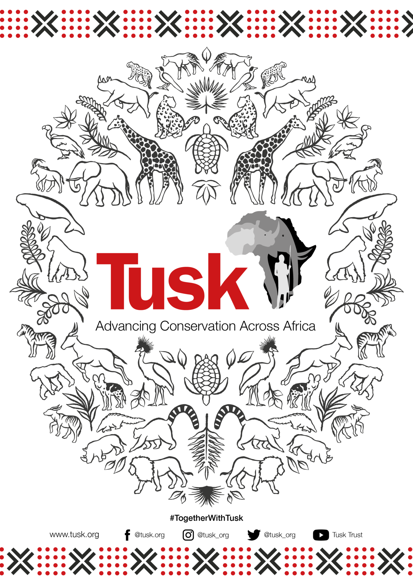 Tusk Colouring Page Pattern PNG