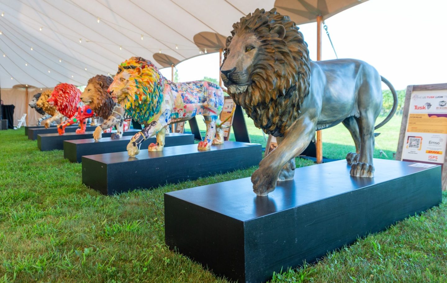 Tusk-ACCF Lion Trail – The Hamptons Lion Soireé at Wölffer Estate on August 27, 2021 in Sagaponack, NY. (Photo by Mark Sagliocco/PMC) 