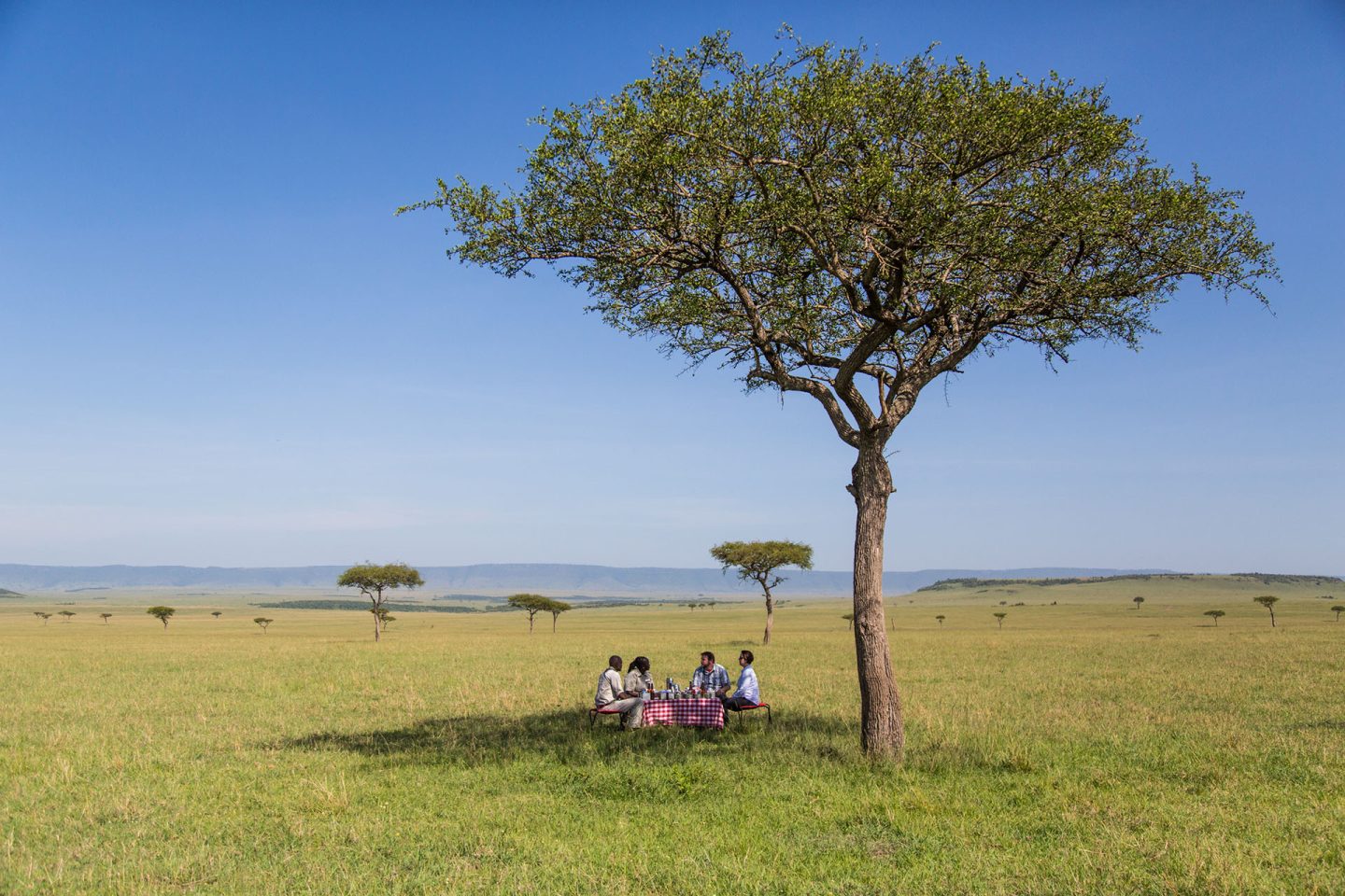 Activities: Our team are experts at finding that lonely tree to shade under for bush breakfast.
