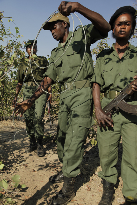 Anti-Poaching: Conservation South Luangwa is in constant need of support to sustain their antipoaching teams who, between them, patrol 24/7, 365 days of the year. The funds donated are used to support salaries and ensures the teams have well-fitting,  functioning kit and nutritious meals.
