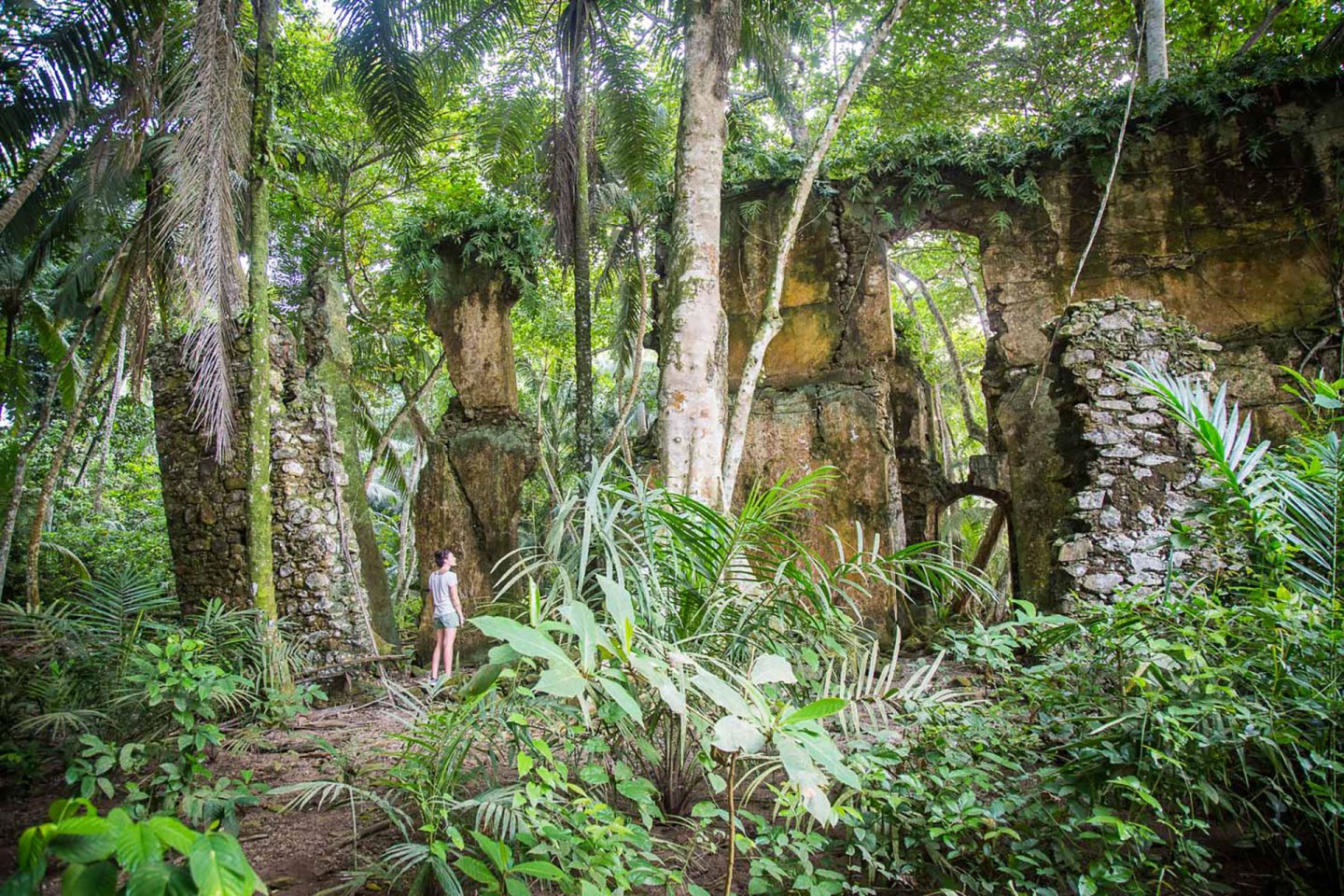 Discover the abandoned ruins of Príncipe, which are so overgrown by vegetation they have become part of the forest. 