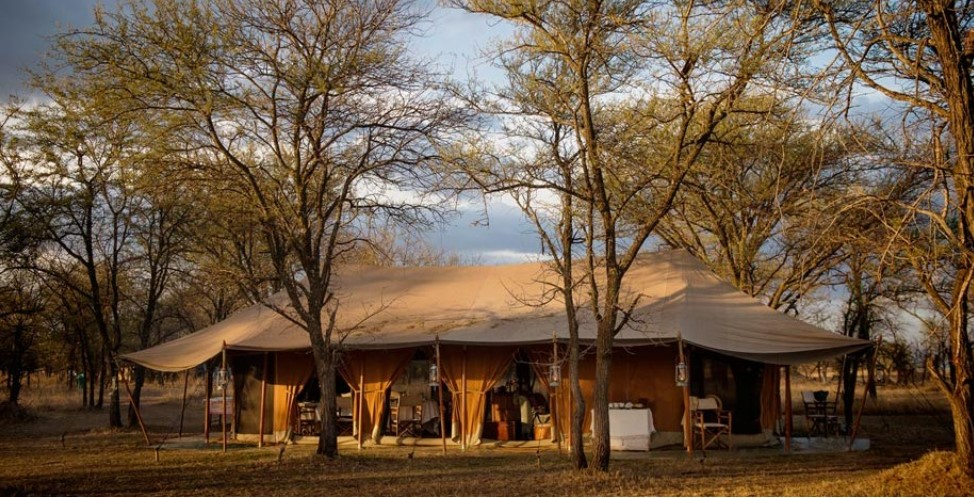 Stay: Traditional, canvas, tented accommodation is one of the best ways to enjoy the Serengeti. Far from camping, our partners in the Serengeti offer the luxuries of some of the world’s top hotels, without the fuss, and completely off grid. Image Credit Serian