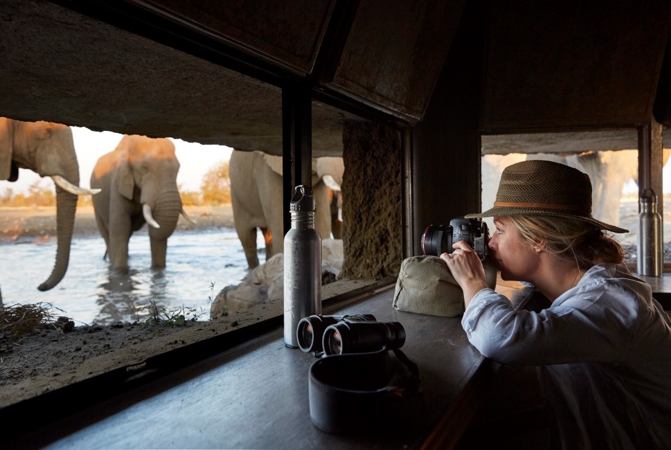 Hide: The Lodge's hide is the perfect spot to sit quietly and watch the various resident wildlife come in for their daily drink. It also offers a fantastic photographic opportunity!