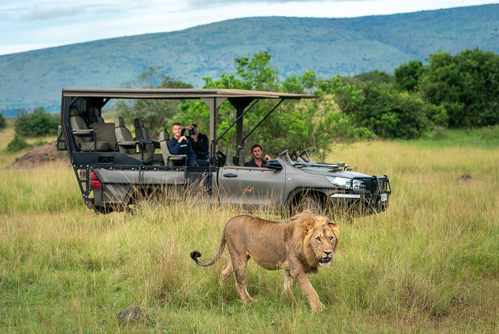 Lion sighting Rwanda safari