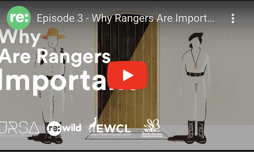 Why Rangers are important