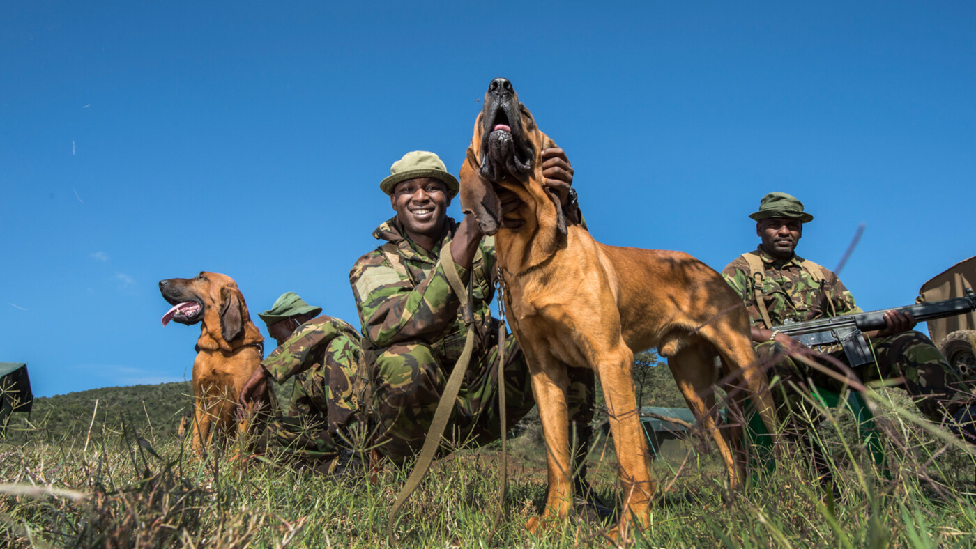 Wildlife Rangers and K9 dogs for World Ranger Day
