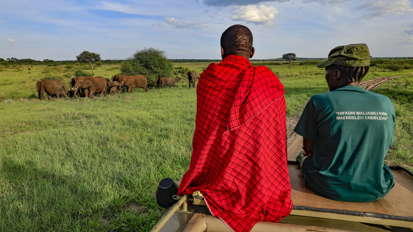 Watching elephants from the top of a safari car, credit Monica Dalmasso
